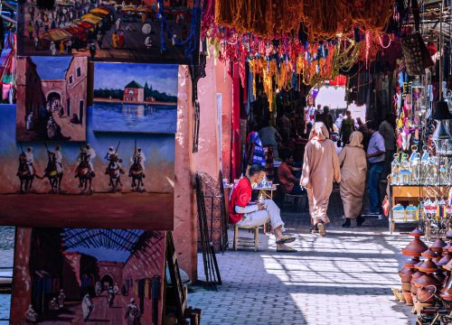 Half-Day Private Guided City Tour in Marrakech Hidden Medina with a professional guide